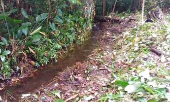 Imagem: Igarapé no são Brás