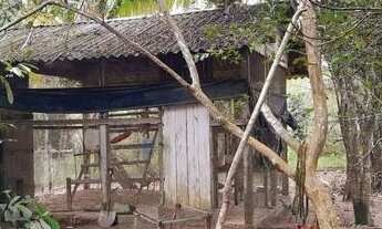 Imagem 3: Sitio km 202 BR 174