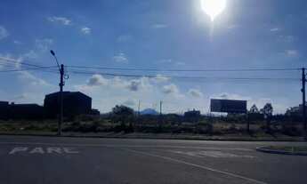 Imagem 5: Lote na beira da pista 600m2