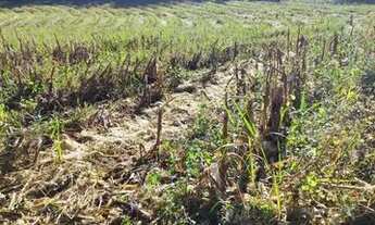 Imagem 3: Terrenos Em Atibaia Parcelamos Sem Juros Invista Em Terreno Em Condominio. ag1::iK00bW