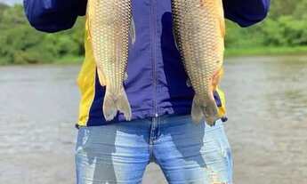 Imagem 6: Vendo chácara molhada