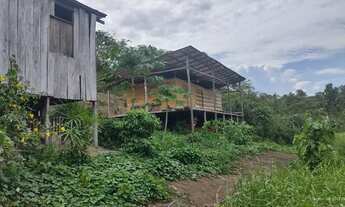 Imagem 4: V/T um sítio Chácara com venda por R$10.000