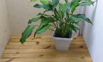 Imagem: Apartamento 1 quarto no centrinho da Lagoa