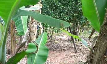 Imagem: Vendo terreno em Santa Cruz se serra