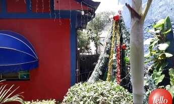 Imagem 4: São Paulo - Terreno Padrão - Tremembé