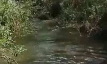 Imagem 2: BEIRA DE RIO 40 KM DE GOIÂNIA 1/5 HECTARES