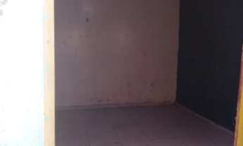 Imagem 5: Lírio do vele 1