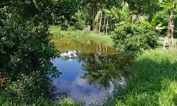 Imagem 3: Sítio em Juquiá