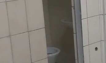 Imagem 7: Aluguel de casa Casa com 1 dormitório