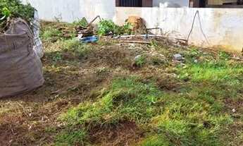 Imagem: Vendo terreno cristo redentor (pacaembu