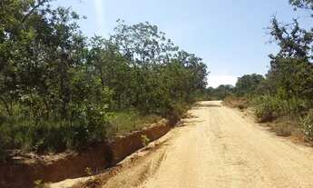 Imagem 4: Fazenda 553 Hectares valor 4.500.000 entre o município de Buritis mg município arinos mg
