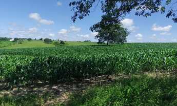 Imagem 6: Sítio excelente em Nossa Senhora Aparecida