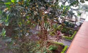 Imagem 7: São Paulo - Apartamento Padrão - Cambuci