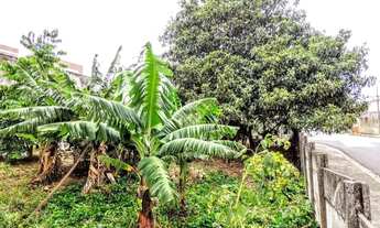 Imagem 4: Terreno - Vila Industrial - Campinas