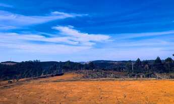 Imagem 5: Fazenda/Sítio/Chácara para venda possui 2000 metros quadrados em Torreões - Juiz de Fora