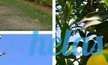 Imagem 5: CHÁCARA À VENDA EM CONDOMÍNIO COM 2.830 m² COM 4 DORMITÓRIOS, SENDO 2 SUÍTES POR R$ 1.500