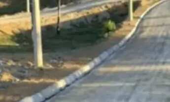 Imagem 6: Lotes para moradia no interior paulista SP