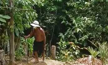 Imagem 2: Vendo sítio 20 minutos de Manaus