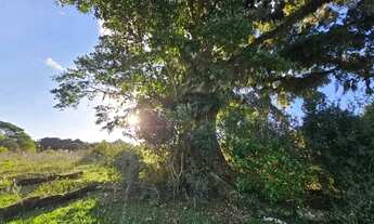 Imagem 5: Velleda oferece 5 mil DE ENTRADA - Lindos terrenos prontos para construção em Águas Claras