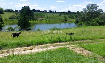 Imagem 7: Fazenda / Sítio / Chácara à venda Estrada Lomba do Vadeco, Morada Gaúcha - Gravataí