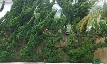 Imagem 5: Aluguel e venda 351m² 4 suítes, Village Marapendi, Barra da Tijuca, RJ