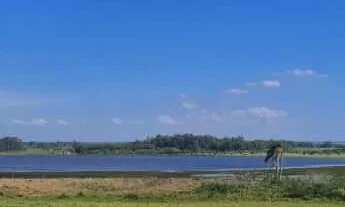 Imagem 2: Velleda oferece 5 mil DE ENTRADA - Lindos terrenos prontos para construção em Águas Claras
