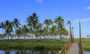 Imagem 6: Vendo Lote no Cond Sunset Beach