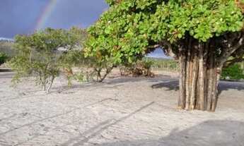 Imagem 5: Vendo lotes no Povoado Flexeiras em Santo Amaro das Brotas