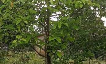 Imagem 4: Vendo chácara de 5 mil metros quadrado