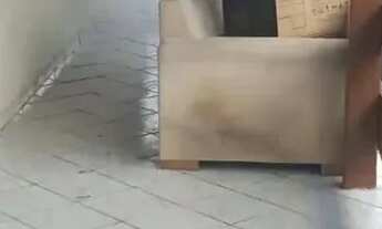 Imagem 3: Otima Casa Nas imediações do Colegio Souza Leão. Linda, Ampla e bem Localizada