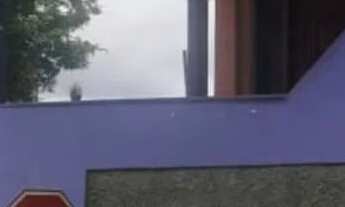 Imagem 2: Casa localizada no bairro madre Gertrudes