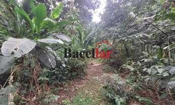 Imagem 5: Terreno-À VENDA-Itanhangá-Rio de Janeiro-RJ