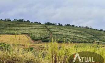 Imagem 4: FAZENDA DE ALTO PADRÃO 729 HECTARES MINAS GERAIS