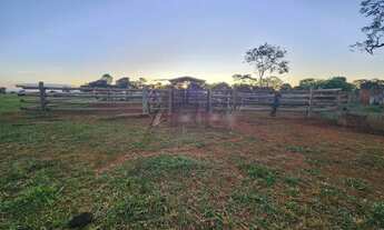 Imagem 7: FAZENDA 65 ALQUEIRES OU 314 hECTARES.18 KM DO ASFALTOEM FRENTE POSTO BARR