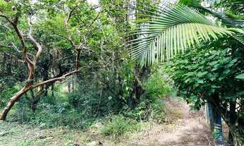 Imagem 6: CMCF 2 Lote 612651033-85