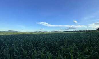 Imagem 3: Fazenda a Venda - Itaberaí - GO