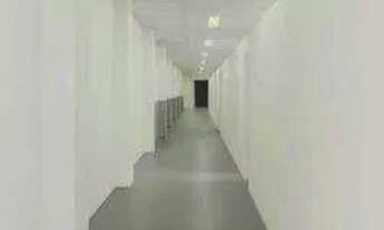 Imagem 5: Galpão para alugar, 350 m² por R$ 9.750/mês - Vila Albertina - São Paulo/SP