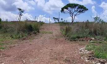 Imagem 7: Lote no Lago Norte