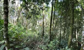 Imagem 6: Lote com projeto pronto no Terras Altas