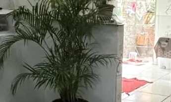 Imagem 5: 1- Casa no Anjo da Guarda