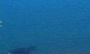 Imagem 4: Imóvel para venda tem 1000 metros quadrados em Centro - Anápolis - GO