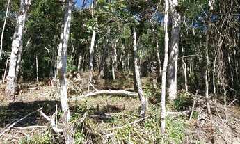 Imagem 2: Terrenao com plato 20 de entrada