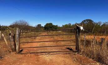 Imagem 3: Fazenda arrendamento 700hec pra abrir em aliança do Tocantins TO