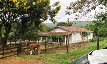 Imagem 7: Fazenda à venda 240 alqueires em Marzagão-Go