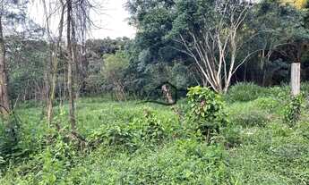 Imagem 4: Terreno plano 2000m2 Pendotiba (Muriqui), Niterói