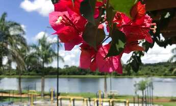 Imagem 7: Chácara 1.500 m² em Condomínio - Trindade - 35 min. de Goiânia