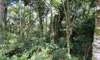 Imagem 5: Lote com projeto pronto no Terras Altas