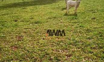 Imagem 6: Fazenda à venda, 1597200 m² por R$ 10.230.000,00 - Zona Rural - Americano do Brasil/GO