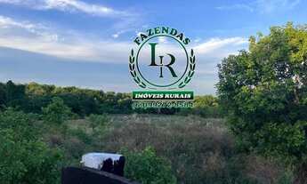 Imagem 5: Fazenda Próximo a Paraiso Tocantins