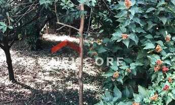 Imagem 6: Chácara em Rua Henedina Oliveira Bresler - Bela Vista - Paulínia/SP